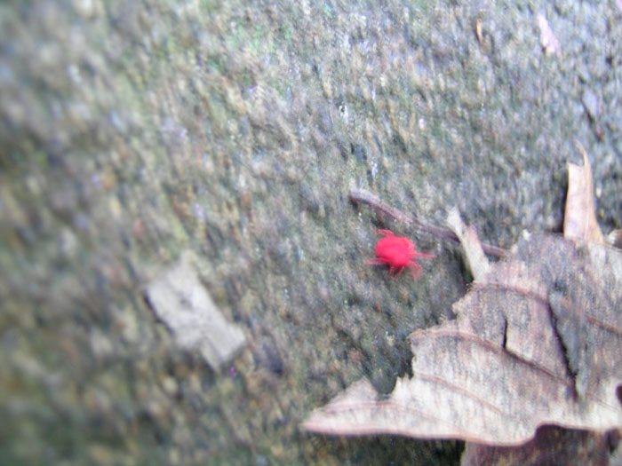 DSCN0448