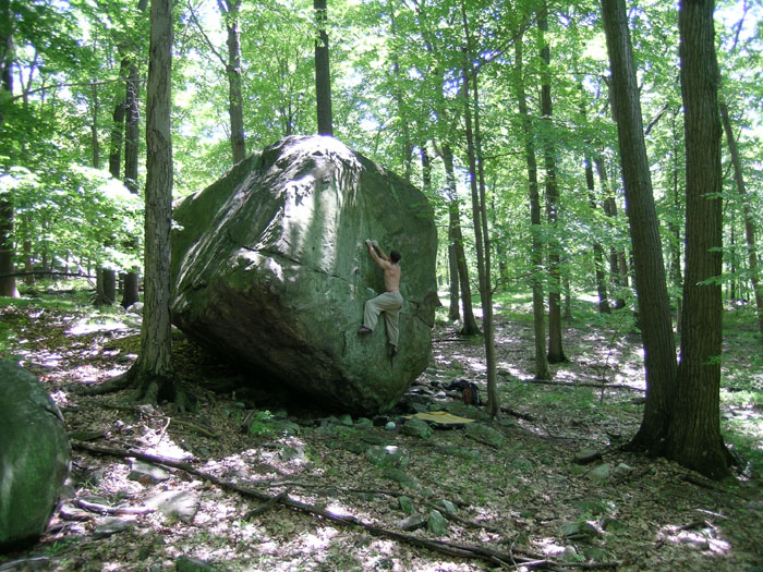 DSCN0449